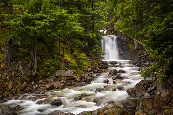 16111012