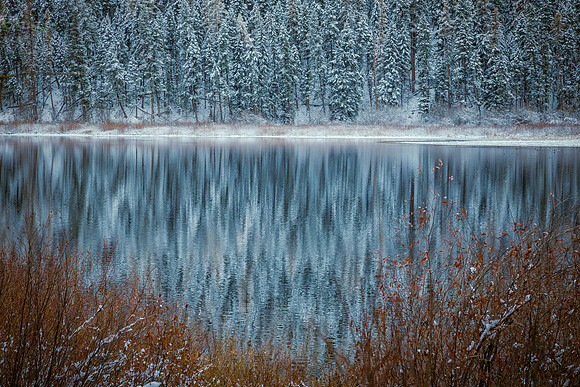 2011091