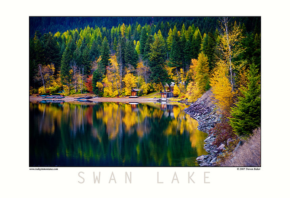 Swan Lake